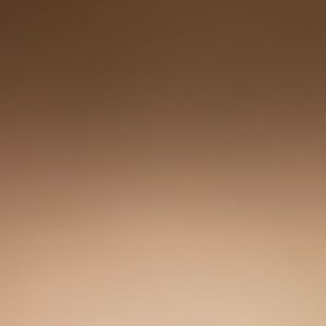 Meet your Posher, Gavin